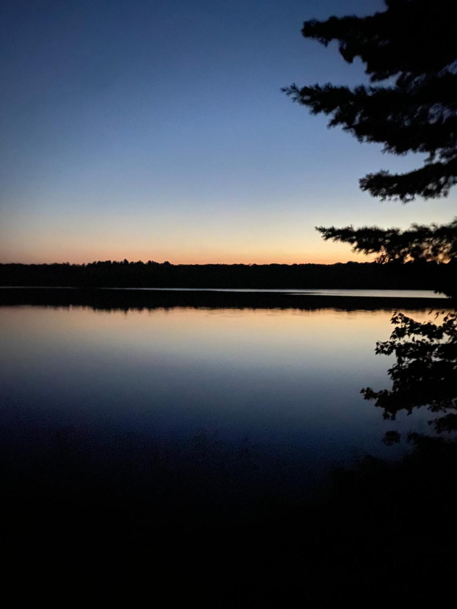 Blue Spruce Bed And Breakfast Muskoka Gravenhurst Extérieur photo