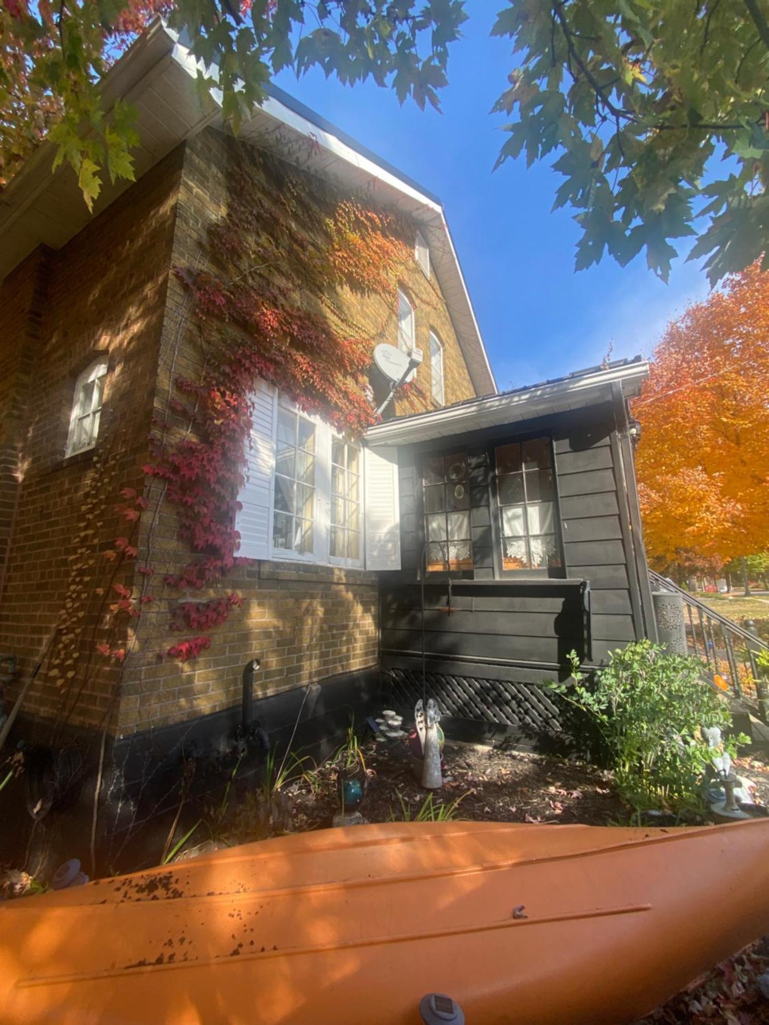 Blue Spruce Bed And Breakfast Muskoka Gravenhurst Extérieur photo