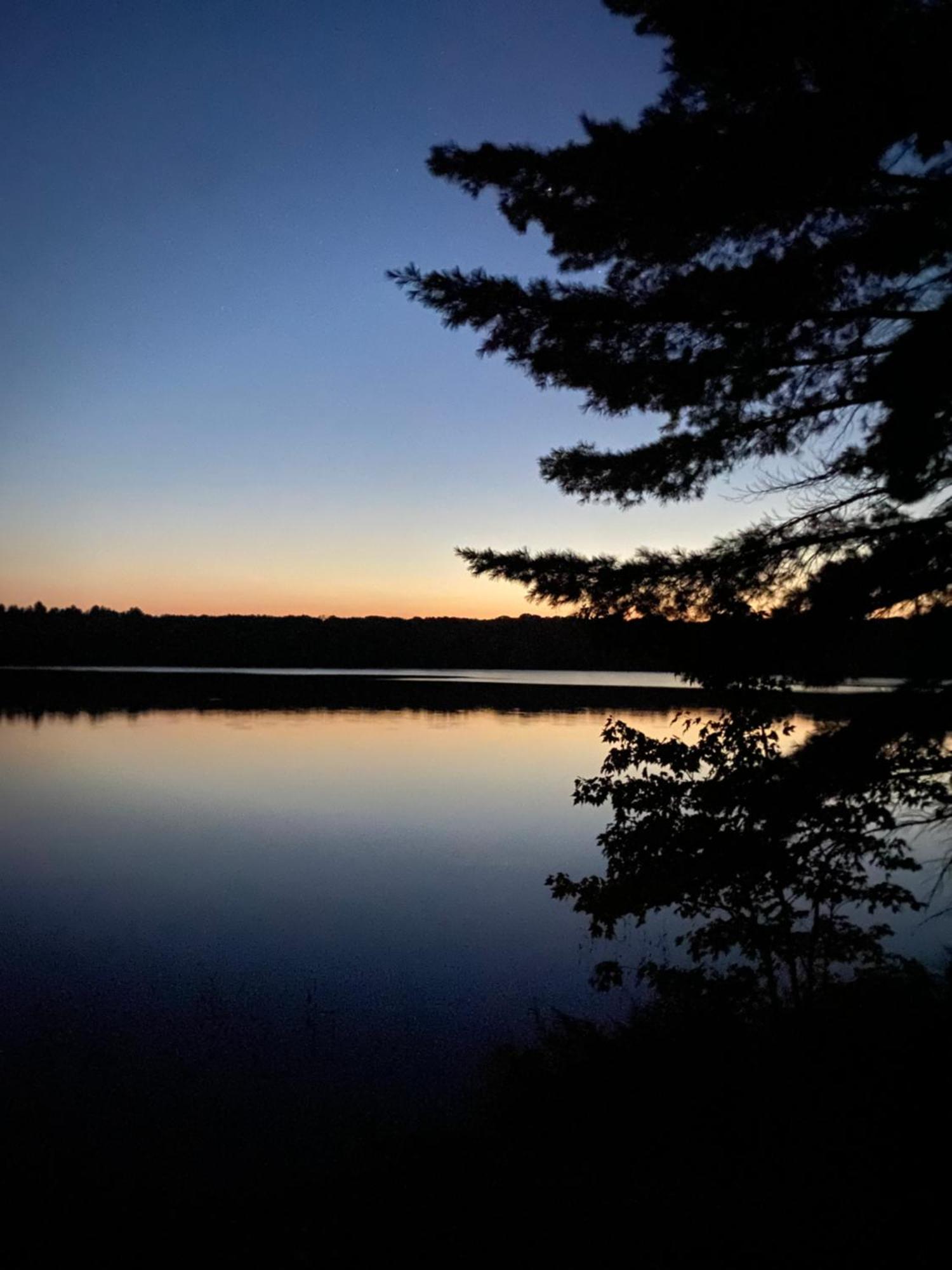 Blue Spruce Bed And Breakfast Muskoka Gravenhurst Extérieur photo