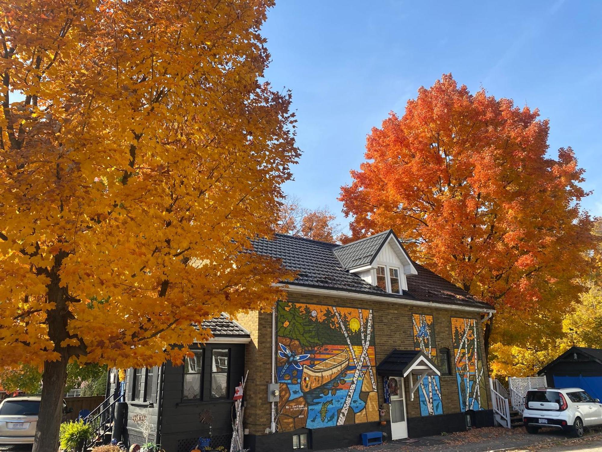 Blue Spruce Bed And Breakfast Muskoka Gravenhurst Extérieur photo